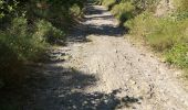 Randonnée Marche nordique Arbaz - bisse d'Ayen  - Photo 1