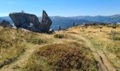 Tocht Stappen Metzeral - Petit-Ballon via Col du Hilsenfirst - Photo 13