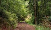 Tocht Stappen Allarmont - Balades féeriques des roches  - Photo 15