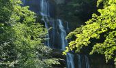 Tour Wandern Menétrux-en-Joux - Trois cascades du Hérisson  - Photo 5