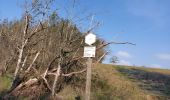 Tour Wandern Houyet - Custinne 080321 - Photo 3