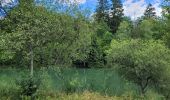 Tocht Stappen Meix-devant-Virton - rando gerouville 6-07-2023 - Photo 2