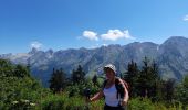 Tocht Stappen La Clusaz - ARAVIS: TETE DU DANAY via Mortenay et Pézerette - Photo 6