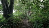 Trail Walking Dinant - FOY GPX BERLAGE - Photo 4