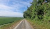 Tocht Stappen Saint-Mard - Le tour du grand Paris via le GR1 Etape 9 Dammartin en Goele - Meaux - Photo 13