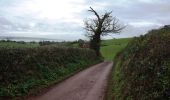 Tocht Te voet Teignbridge - Kenton Starcross Circular - Photo 5