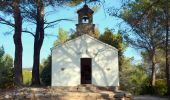 Trail Walking Cotignac - Trace_Cotignac - Photo 3