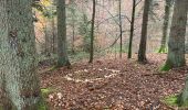 Trail Walking Saint-Hubert - Awenne - Photo 4
