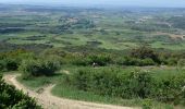 Tocht Stappen Pamplona/Iruña - 2024 Camino Frances Etape 1 - Photo 6