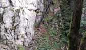 Randonnée Marche Le Valtin - VOSGES 2023 - Col de la Schlucht - Les Rochers de Hirschteine - Photo 18