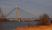Excursión A pie Kampen - WNW IJsseldelta -Ketelmeer - oranje route - Photo 2