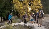 Percorso Marcia Quinson - Quinson, les basses gorges et la chapelle Ste Maxime - Photo 2