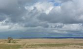 Tour Wandern Le Mont-Saint-Michel - GR_34_AA_01_Mt-St-Michel_St-Marcan_20230318 - Photo 16