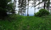 Tour Zu Fuß Gratwein-Straßengel - Wanderweg 32, Kogelleitenweg - Photo 1