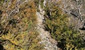 Trail Walking Moustiers-Sainte-Marie - Col de l’âne - crêtes de l’ourbès - Photo 4