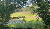 Tour Wandern Écromagny - Ecromagny  - Photo 1