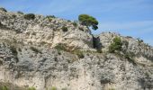 Trail Walking Salon de Provence - PF-Le Tallagard - Sentier des Abeilles - Photo 4
