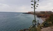 Tour Radtourismus  Saintes-Maries-de-la-Mer - Stes Maries de la Mer  -  Sète - Photo 15