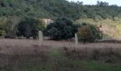 Tocht Stappen Collobrières - Menhirs Plateau Lambert  - Photo 7