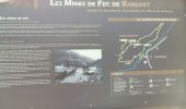 Trail Walking Ferrières - FERRIERES  la mine de Baburet   295 0542 - Photo 14