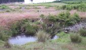 Percorso Marcia Houffalize - Les Tailles  - Photo 3