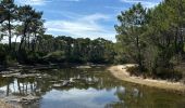 Randonnée  Lège-Cap-Ferret - Réserve naturelle de piraillan - Photo 1