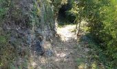 Randonnée Marche Saint-Jean-du-Gard - St jean du Gard - grotte de Rouville - Photo 1