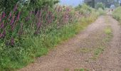 Trail Walking Mazaricos - Santa Maria Olveirao - Photo 5