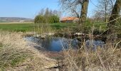 Tocht Stappen Heuvelland - Kemmel 16,8 km - Photo 11