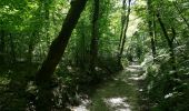 Randonnée V.T.T. Sexfontaines - Hte-Marne à VTT : forêt de l'Etoile et val de Blaise - Photo 2