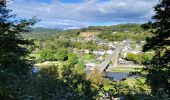 Randonnée Marche Bouillon - Rochehaut 051024 - Photo 9