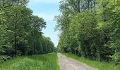 Trail Walking Durbuy - Petit-Han ... l Trail Walking Durbuy - Petit-Han ... l