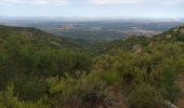 Trail Walking Argelès-sur-Mer - massane - Photo 5