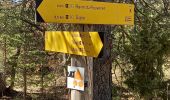 Trail Walking Digne-les-Bains - Rando Col de Peipin Courbons - Photo 9
