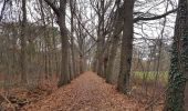 Trail Walking Diepenbeek - Diepenbeek  - Photo 4