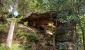Tour Wandern Celles-sur-Plaine - celles sur plaine - Photo 6