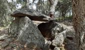 Trail Walking Maureillas-las-Illas - dolmen de la Siureda via tour Bel Ull - Photo 11