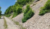 Trail Walking Beaumont-du-Ventoux - Vaucluse Mont Serein - Photo 2