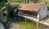 Tour Wandern Dannemois - Le moulin des noues - Photo 3