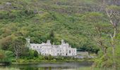 Trail Car Conamara Municipal District - 190706Connemara - Photo 1