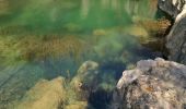 Tour Wandern Talairan - Chemin du facteur + Gourg - Photo 3