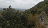 Tour Wandern Laroque-des-Albères - Dolmen - Photo 1