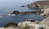 Tocht Stappen Plogoff - pointe du raz - Photo 3