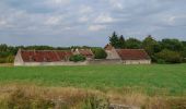 Tour Wandern Bléré - Bléré - Fonds de Bout Ferré - 14.2km 145m 3h30 - 2022 08 15 - Photo 6