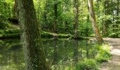 Excursión Senderismo Seraing - Les bois du Val Saint-Lambert  - Photo 2