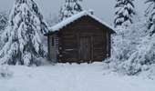 Tour Wandern Jalhay - Solwaster-Statte-Hoegne - Photo 5