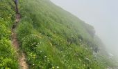 Trail Walking Samoëns - La tête de Bostan - Photo 9