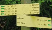Randonnée Marche Arâches-la-Frasse - boucle les Carroz, la forêt d'Araches, Cretoral, retour par la pierre a Laya - Photo 11