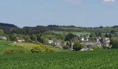 Trail Walking Fauvillers - rando honville 18-05-2023 - Photo 11