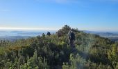 Randonnée Marche Évenos - du col de garde vers le gros cap - Photo 8